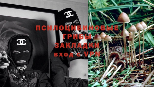 ешки Балахна